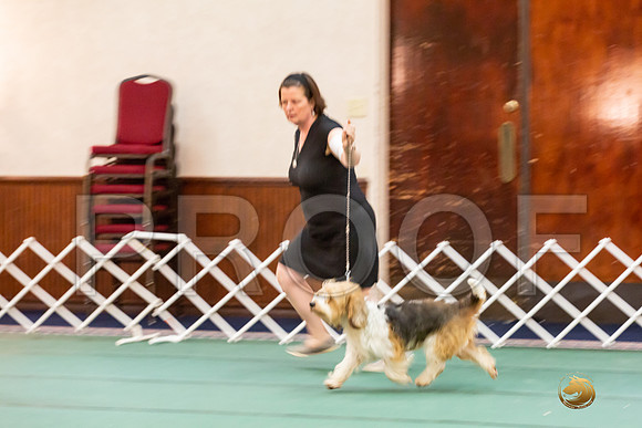 Best Vet SatJJJ_6732-PBGVKrvlTX2019-HR3