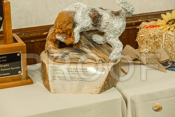 Candids Sat National Specialty Ribbons TrophyJJJ_4150-PBGVKrvlTX2019-HR3