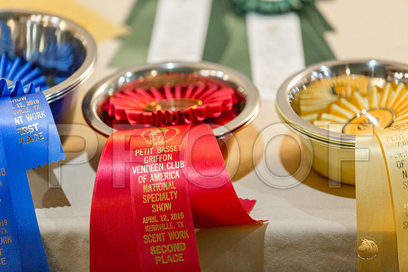 Scent Work Candids FriJJJ_4134-PBGVKrvlTX2019-HR3