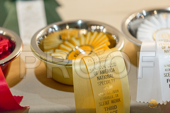Scent Work Candids FriJJJ_4135-PBGVKrvlTX2019-HR3
