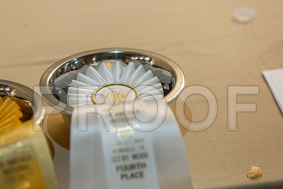 Scent Work Candids FriJJJ_4136-PBGVKrvlTX2019-HR3