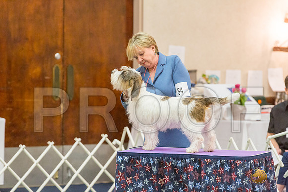 Sweeps 12 to 18 Bitch SatJJJ_4592-PBGVKrvlTX2019-HR3