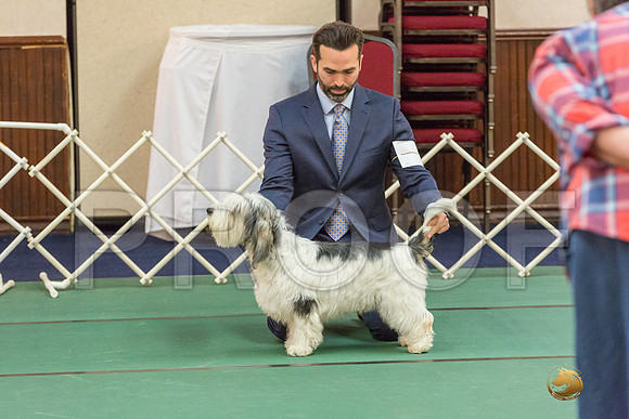 Sweeps 12 to 18 Dog SatJJJ_4272-PBGVKrvlTX2019-HR3