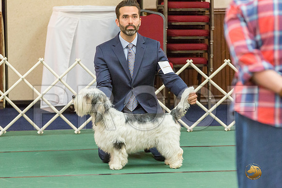Sweeps 12 to 18 Dog SatJJJ_4275-PBGVKrvlTX2019-HR3