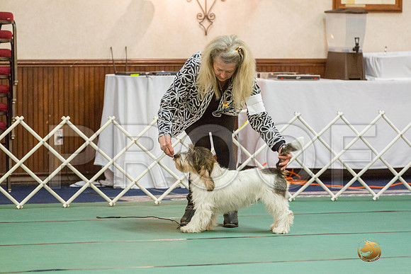 Sweeps 6 to 9 Dog SatJJJ_4179-PBGVKrvlTX2019-HR3