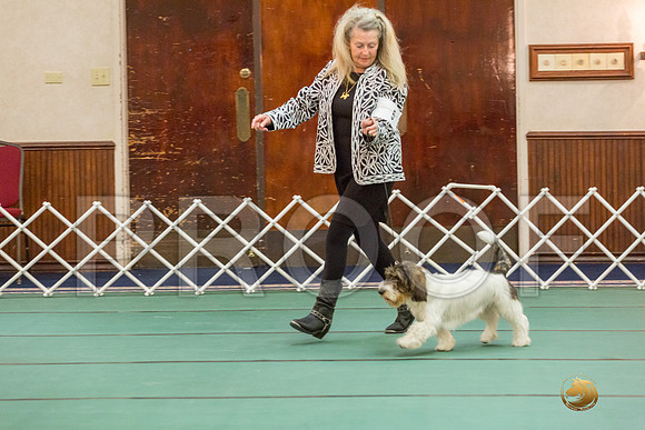 Sweeps 6 to 9 Dog SatJJJ_4189-PBGVKrvlTX2019-HR3