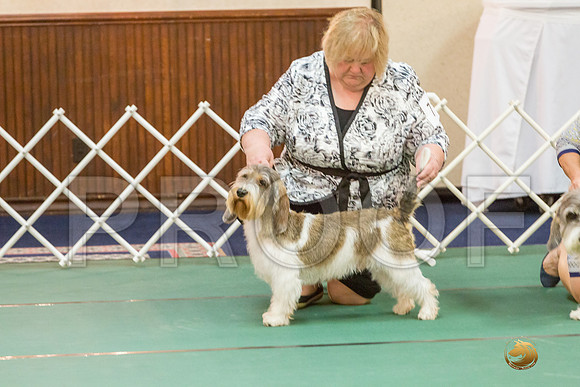 Sweeps 9 to 12  Dog SatJJJ_4201-PBGVKrvlTX2019-HR3