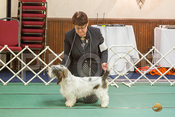 Sweeps 9 to 12  Dog SatJJJ_4202-PBGVKrvlTX2019-HR3