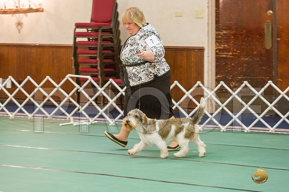Sweeps 9 to 12  Dog SatJJJ_4208-PBGVKrvlTX2019-HR3