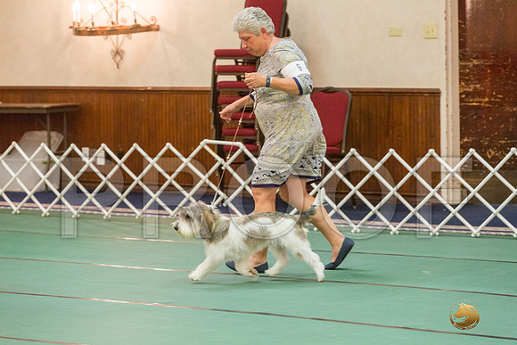 Sweeps 9 to 12  Dog SatJJJ_4213-PBGVKrvlTX2019-HR3