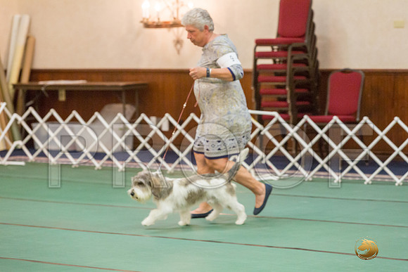 Sweeps 9 to 12  Dog SatJJJ_4215-PBGVKrvlTX2019-HR3