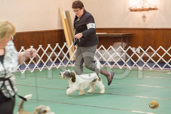 Sweeps 9 to 12  Dog SatJJJ_4220-PBGVKrvlTX2019-HR3