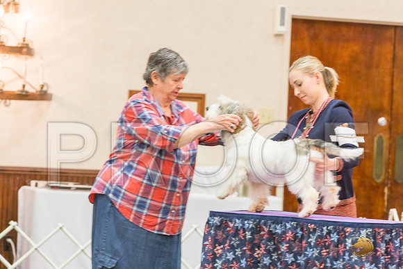 Sweeps 9 to 12 Bitch SatJJJ_4434-PBGVKrvlTX2019-HR3