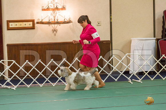Vet Dog SatJJJ_5746-PBGVKrvlTX2019-HR3