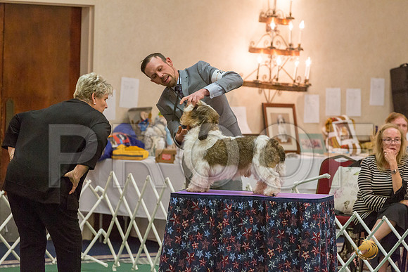 Vet Dog SatJJJ_5757-PBGVKrvlTX2019-HR3