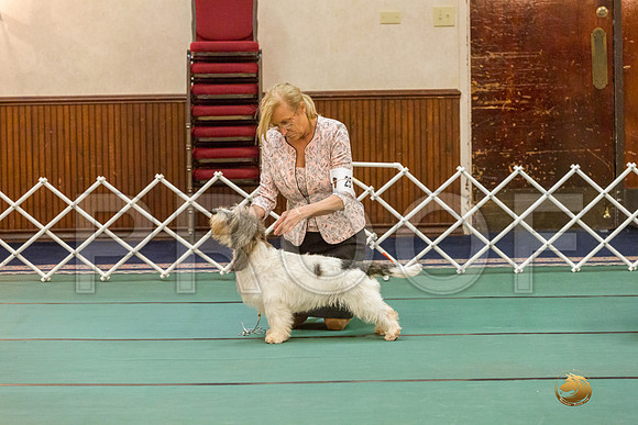 Winners Dog SatJJJ_5319-PBGVKrvlTX2019-HR3