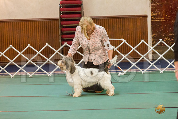 Winners Dog SatJJJ_5320-PBGVKrvlTX2019-HR3