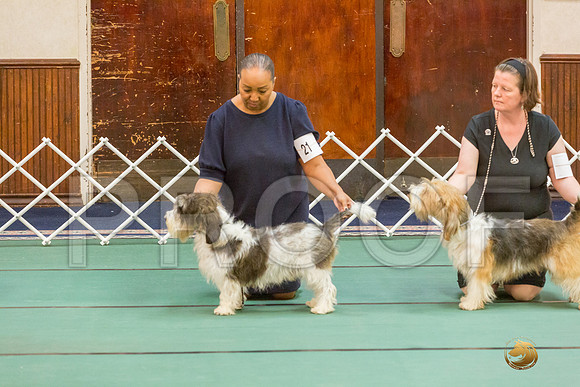 Winners Dog SatJJJ_5321-PBGVKrvlTX2019-HR3