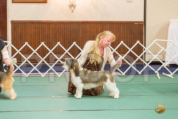 Winners Dog SatJJJ_5323-PBGVKrvlTX2019-HR3