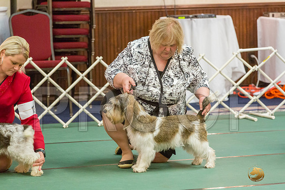 Winners Dog SatJJJ_5327-PBGVKrvlTX2019-HR3