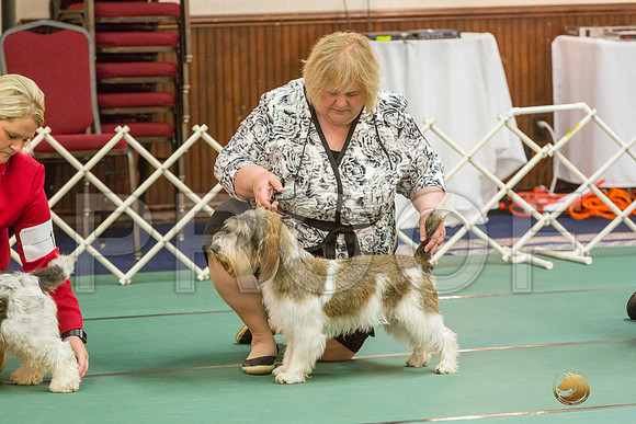 Winners Dog SatJJJ_5328-PBGVKrvlTX2019-HR3