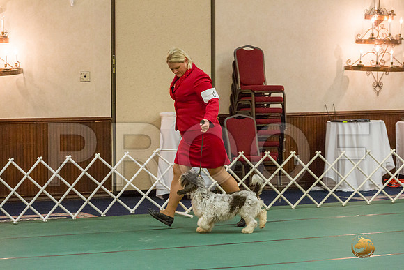 Winners Dog SatJJJ_5329-PBGVKrvlTX2019-HR3