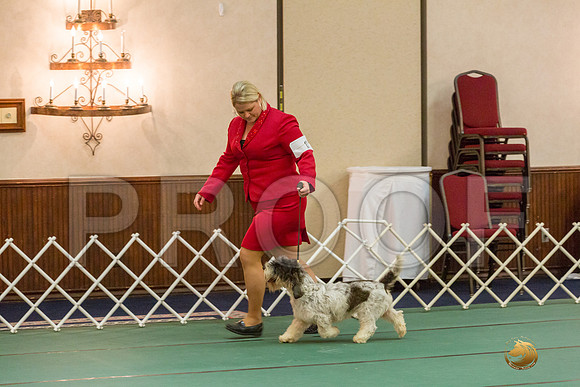Winners Dog SatJJJ_5331-PBGVKrvlTX2019-HR3