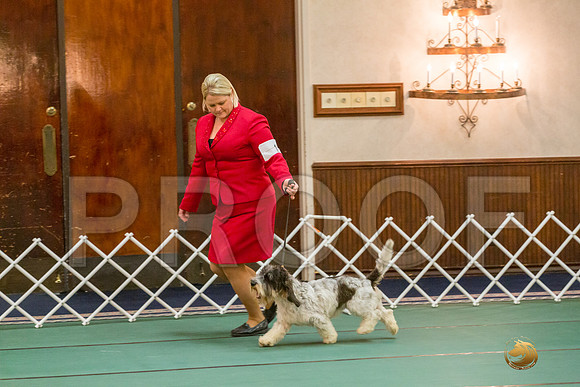 Winners Dog SatJJJ_5334-PBGVKrvlTX2019-HR3