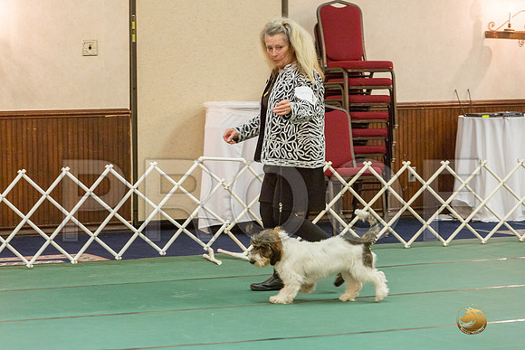 Winners Dog SatJJJ_5339-PBGVKrvlTX2019-HR3