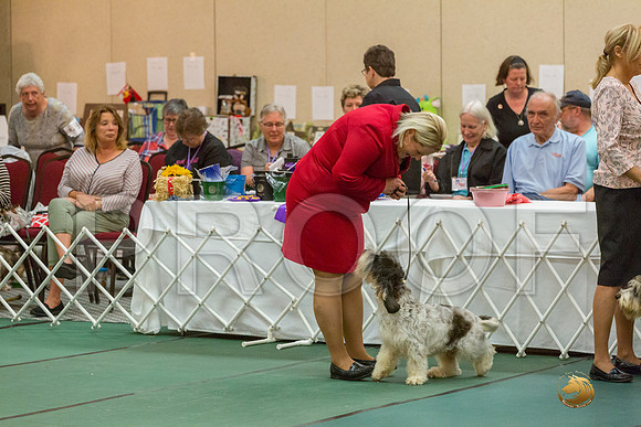 Winners Dog SatJJJ_5342-PBGVKrvlTX2019-HR3
