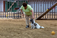 Agility JWW ME Regional Darcy