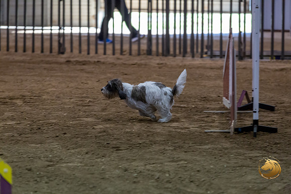 Agility JWW ME Regional DarcyJJJ_3892-PBGVKrvlTX2019-HR3