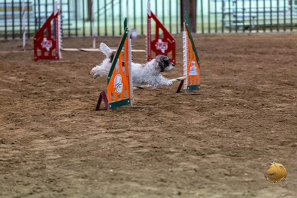 Agility JWW ME Regional DarcyJJJ_3908-PBGVKrvlTX2019-HR3