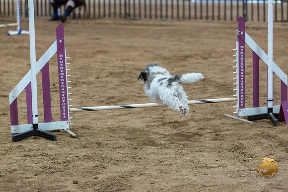 Agility T2B Regional 12%22 DarcyJJJ_5511-PBGVKrvlTX2019-HR3