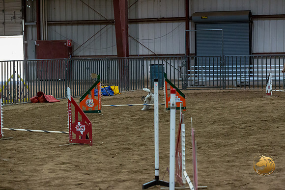 Agility T2B Regional 12%22 DarcyJJJ_5528-PBGVKrvlTX2019-HR3