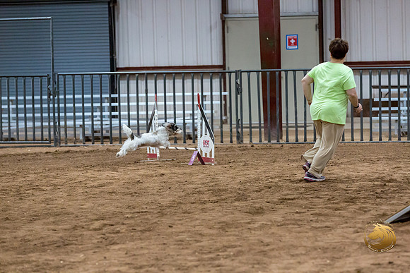Agility T2B Regional 12%22 DarcyJJJ_5529-PBGVKrvlTX2019-HR3