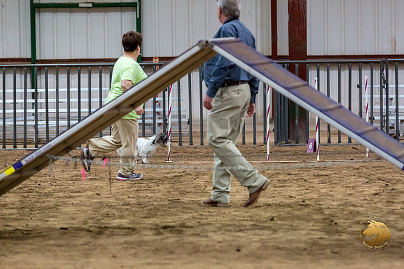 Agility T2B Regional 12%22 DarcyJJJ_5532-PBGVKrvlTX2019-HR3