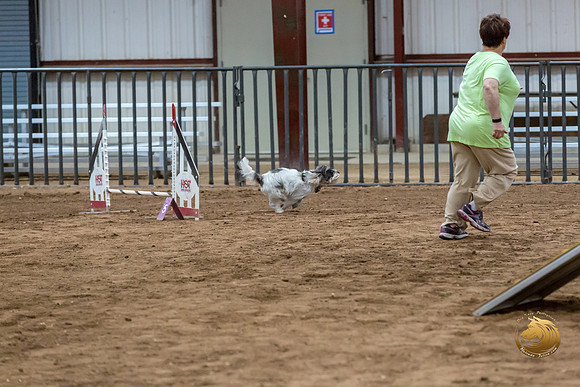 Agility T2B Regional 12%22 DarcyJJJ_5531-PBGVKrvlTX2019-HR3