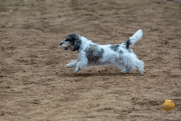 Agility T2B Regional 8%22 DarcyJJJ_5114-PBGVKrvlTX2019-HR3