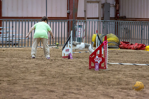 Agility JWW Nov National DalilaJJJ_4950-PBGVKrvlTX2019-HR3