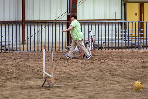 Agility JWW Nov National DalilaJJJ_4952-PBGVKrvlTX2019-HR3