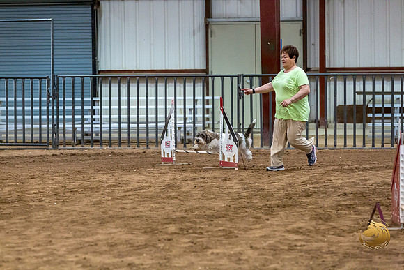 Agility JWW Nov National DalilaJJJ_4959-PBGVKrvlTX2019-HR3