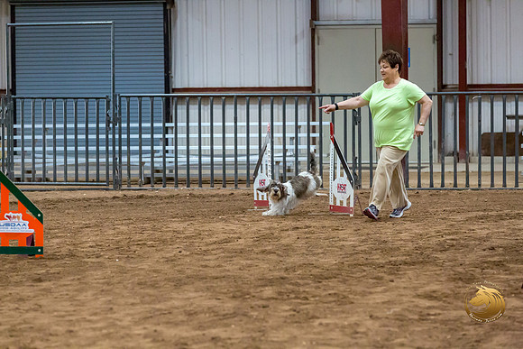 Agility JWW Nov National DalilaJJJ_4960-PBGVKrvlTX2019-HR3