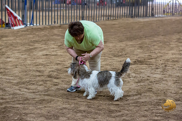 Agility JWW Nov Regional DalilaJJJ_4788-PBGVKrvlTX2019-HR3