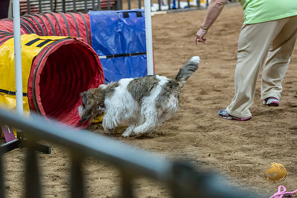 Agility JWW Nov Regional DalilaJJJ_4790-PBGVKrvlTX2019-HR3