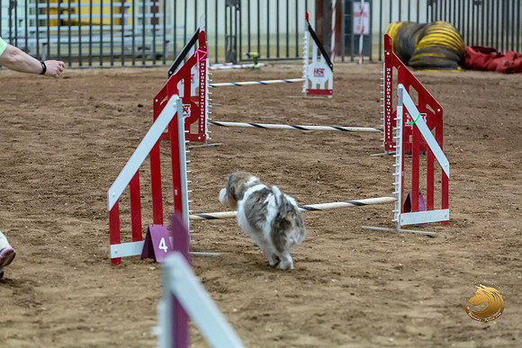 Agility JWW Nov Regional DalilaJJJ_4794-PBGVKrvlTX2019-HR3