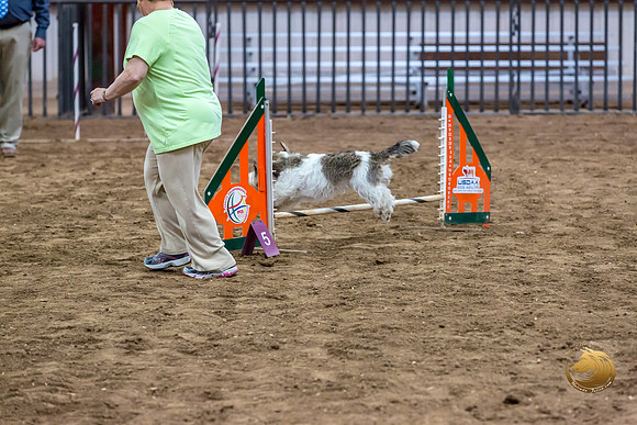 Agility JWW Nov Regional DalilaJJJ_4796-PBGVKrvlTX2019-HR3