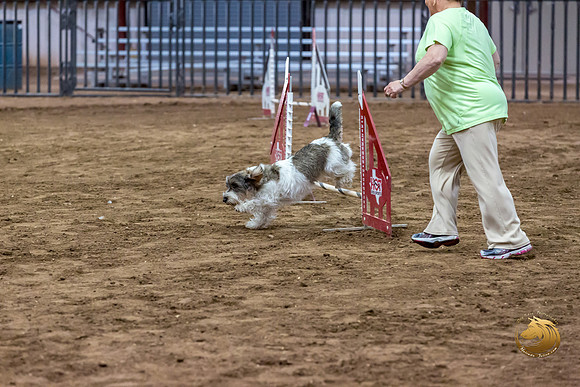 Agility JWW Nov Regional DalilaJJJ_4798-PBGVKrvlTX2019-HR3