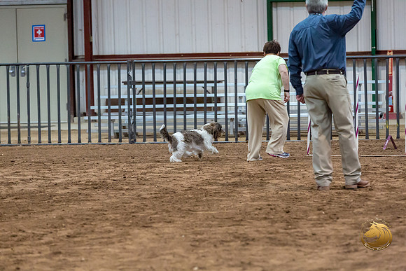 Agility JWW Nov Regional DalilaJJJ_4803-PBGVKrvlTX2019-HR3