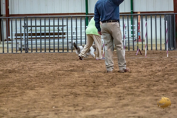 Agility JWW Nov Regional DalilaJJJ_4805-PBGVKrvlTX2019-HR3